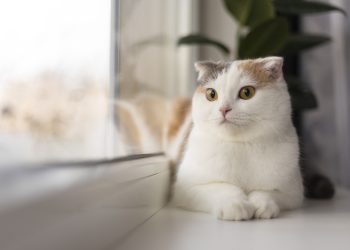 Quà tặng cho bạn sinh ngày 2