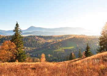 Tứ thập nhi bất hoặc